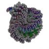 rib001061a