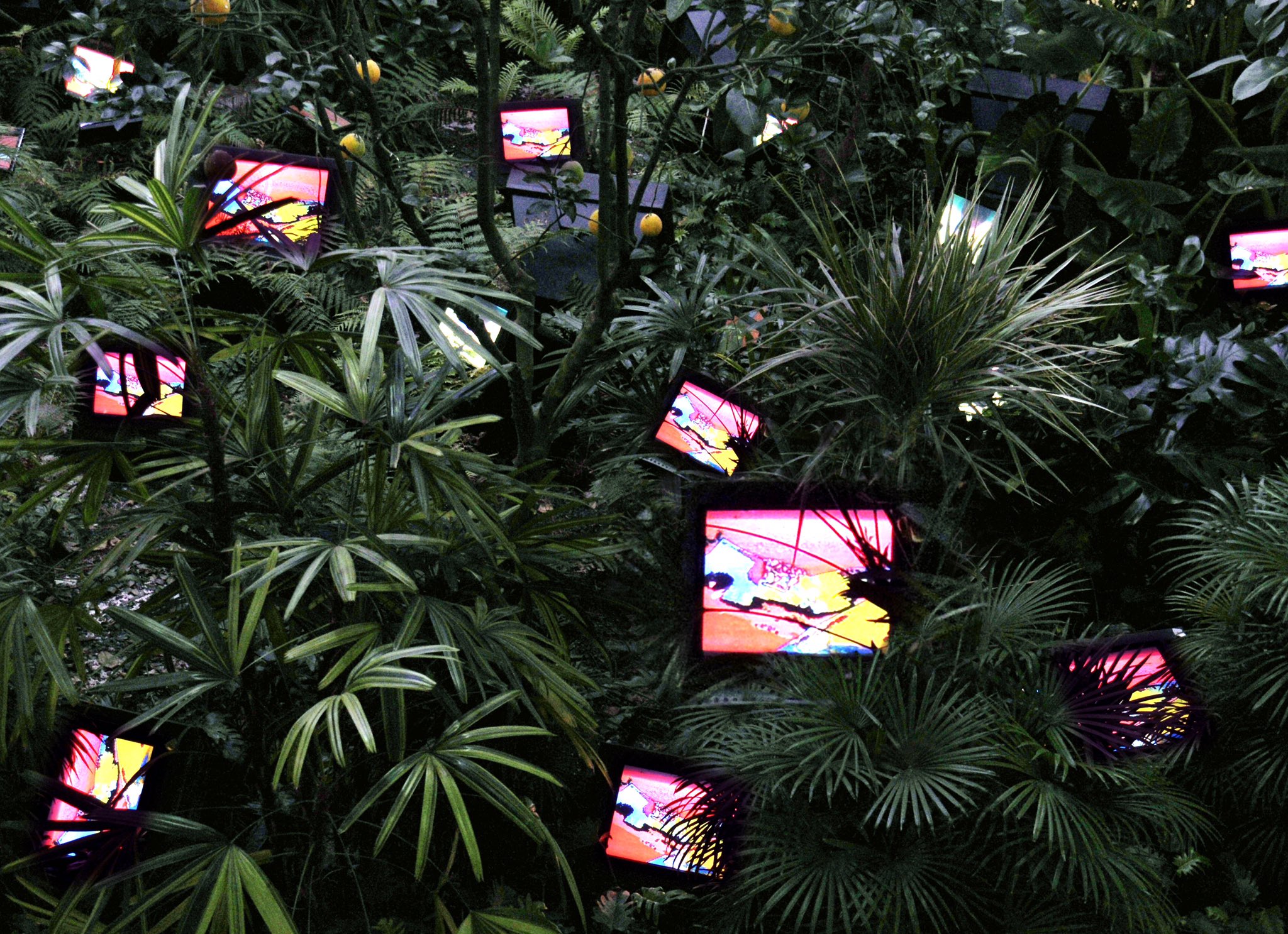 Nam-June-Paik-TV-Garden-1974-2002-Version-video-installation-with-color-television-sets-and-live-plants-dimensions-vary-with-installation-4 (1)